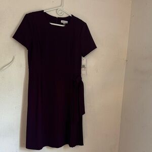 Calvin Klein Deep Purple Dress size 12